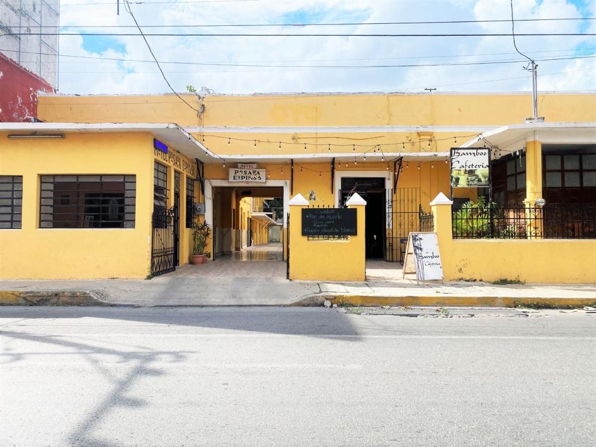 Oyo Posada Espinosa, Merida, Parque De Santa Ana 외부 사진